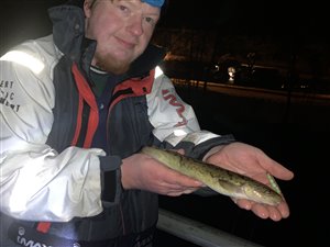 Knude (Lota lota) - Fanget d. 6. februar 2021. knudefiskeri, isfiskeri, vinter