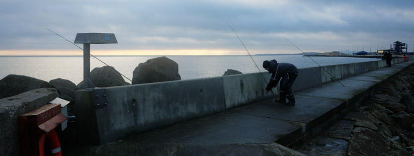 Lystfiskeri Grenaa Havn (Havn / mole)