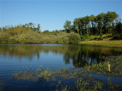 En stille sommeraften. Perfekt vejr til lidt popperfiskeri.