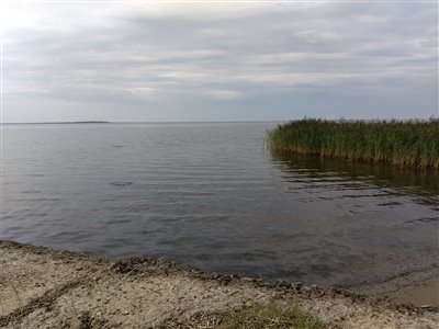 Fiskeri i Nissum Fjord.