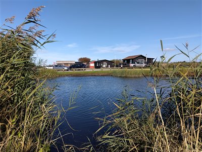 Fiskeri i Stauning Havn sidst i august 2024.