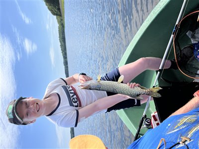 Gedde (Esox lucius) Fanget ved spinnefiskeri. 
Denne fisk blev genudsat. Fed fight, den tog godt ved Østjylland, (sted ikke oplyst) (Sø / mose) geddefiskeri, glubsk, rovfisk, agnfisk, stålforfang, forfang,