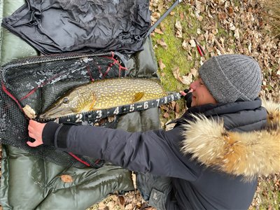 Gedde på 98 cm.