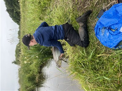 Genudsætning, den svømmede flot videre