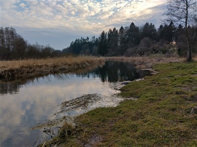 Gudenåen ved Brædstrup.