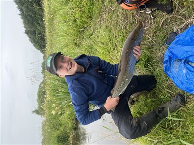 Havørred (Salmo trutta forma trutta) Fanget ved spinnefiskeri. 
Alle havørreder blev genudsat. Tog en på 2,5 og en på 6,4 Vestjylland, Karup Å (Å / bæk) havørredfiskeri, blink, tobis, flue, overspringer, grønlænder, nedfaldsfisk, blankfisk