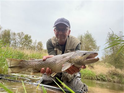 Havørred (Salmo trutta forma trutta) Fanget ved spinnefiskeri. 
Denne havørred blev genudsat. Syd- og Sønderjylland, (sted ikke oplyst) (Å / bæk) havørredfiskeri, blink, tobis, flue, overspringer, grønlænder, nedfaldsfisk, blankfisk