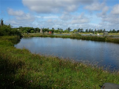 Lille Karpesø i Loch Nees. Læs mere om karpefiskeriet her: https://neesputandtake.dk/dk/karpefiskeri/forside/