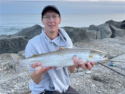 Og her med flot havørred (alle fisk i øvrigt genudsat)