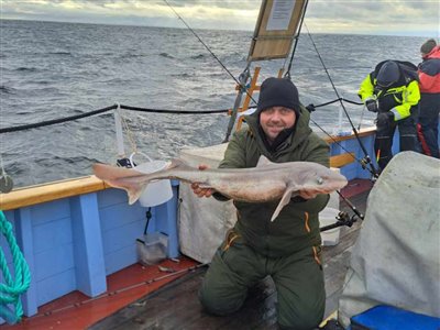 Pighaj (Squalus acanthias) Fanget ved medefiskeri. Hajerne kæmpede fantastisk godt de fleste blev fanget på en ophænge krog  str 1/0 50 cm over det 200 gram lod agnet med en halv sild eller makrel på
Dette er min første pighaj.
Denne pighaj blev genudsat. Nordjylland, Herthas Flak (Hav) pighajfiskeri, hav