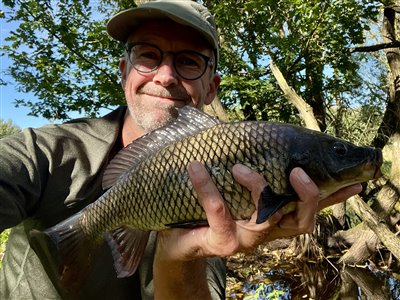 Skælkarpe (inkl. koi karpe) (Cyprinus carpio) Fanget ved medefiskeri. 
Denne skælkarpe (inkl. koi karpe) blev genudsat. Østjylland, (sted ikke oplyst) (Sø / mose) skælkarpefiskeri, karpefiskeri, regnorm, majs, spejlkarpe, læderkarpe, lineær