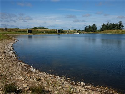 Skovsøen i Loch Nees, her bor mange store karper!