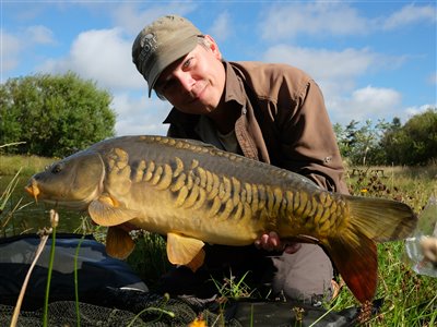 Spejlkarpe (inkl. koi karpe) (Cyprinus carpio) Fanget ved medefiskeri.  Vestjylland, Loch Nees Put and Take (Put & Take) spejlkarpefiskeri, lineær, skælkarpe, læderkarpe, regnorm, majs