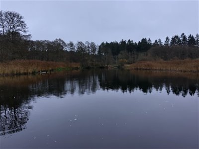 Stille dag på Gudenåen i kanoen.