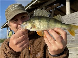 Fiskeovernatning ved Vonå - 30. august 2024