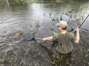 lange gummistøvler, waders