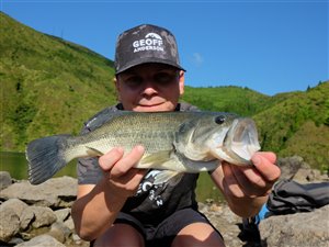 Bass fra Lagoa do Fogo.