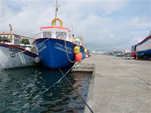 Fiskeri i havnen i Ponta Delgada.