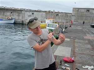 Fiskeri i Rabo de Peixe.