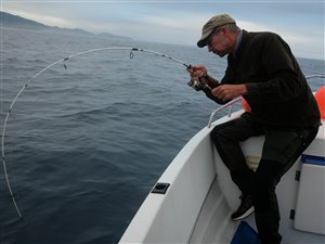 Jørn fighter aftrækkerfisk.