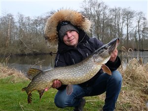 Gedde (Esox lucius) - Fanget d. 20. februar 2025. geddefiskeri, glubsk, rovfisk, agnfisk, stålforfang, forfang,