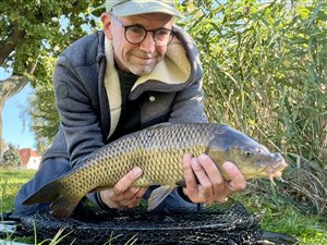 Skælkarpe (inkl. koi karpe) (Cyprinus carpio) - Fanget d. 6. oktober 2024. skælkarpefiskeri, karpefiskeri, regnorm, majs, spejlkarpe, læderkarpe, lineær